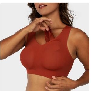 Evelyn & Bobbie Wireless Defy Bra Size XL